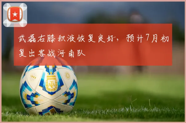 武磊右膝积液恢复良好，预计7月初复出客战河南队